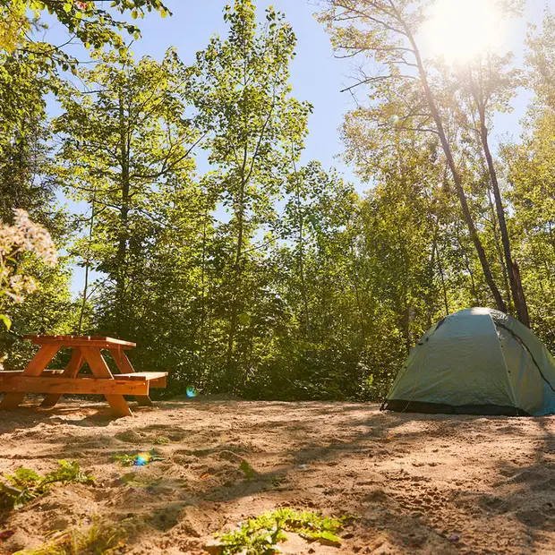 1N2A7177_août122022_@myriambariltessier