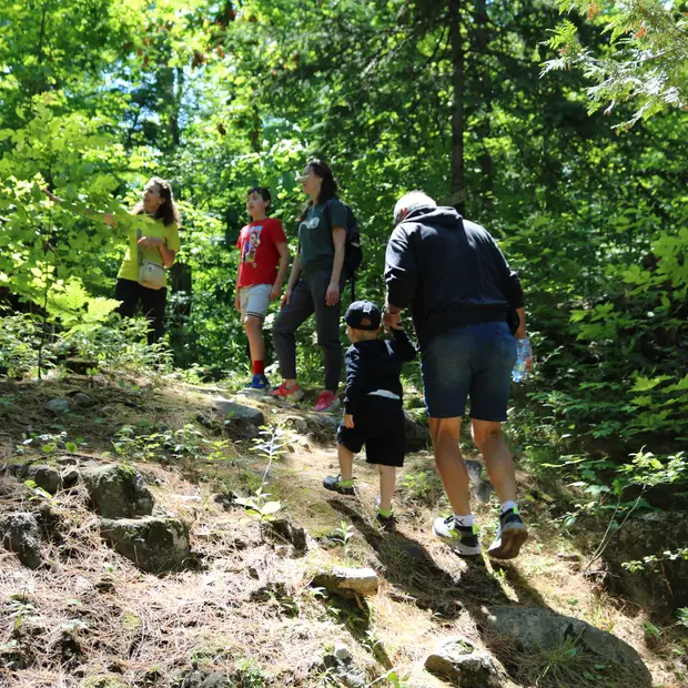 20240615114329_IMG_1165