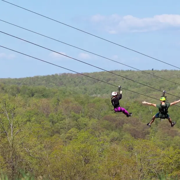 Ziplines, a mountain coaster and adrenalin at Camp Fortune! 