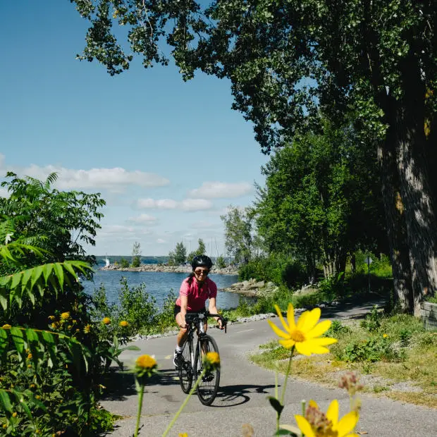 a0cb3679-a033-45d1-9ca5-7bbb81e0fc19