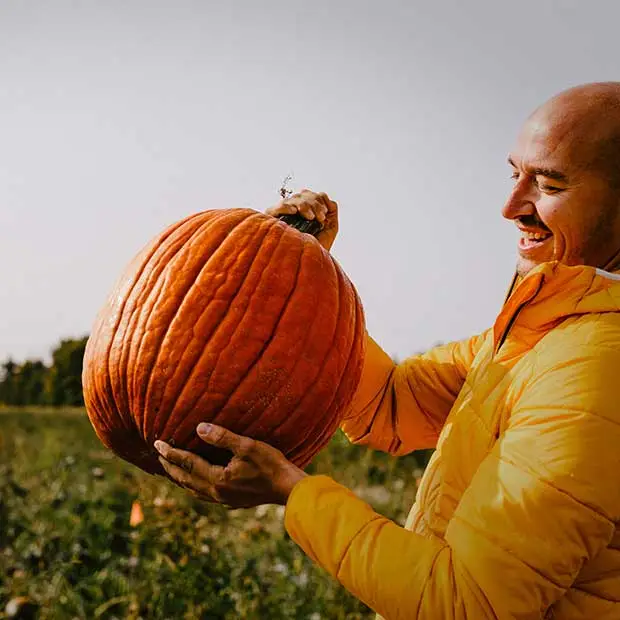Agrotourisme