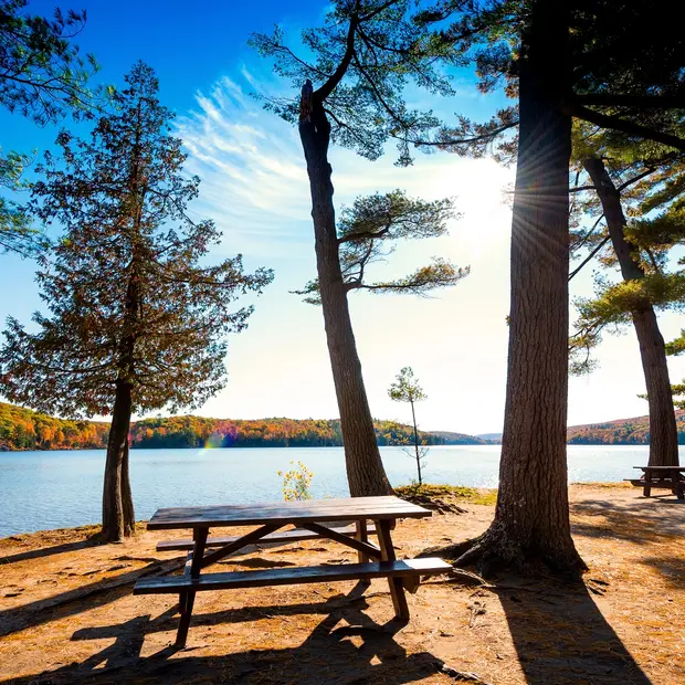 Aire de piquenique au lac Philippe