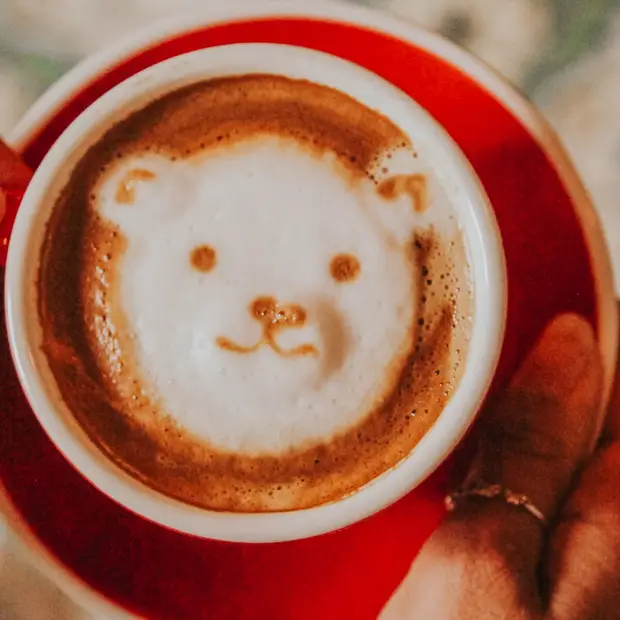 Comforting Outaouais cafés well worth visiting!