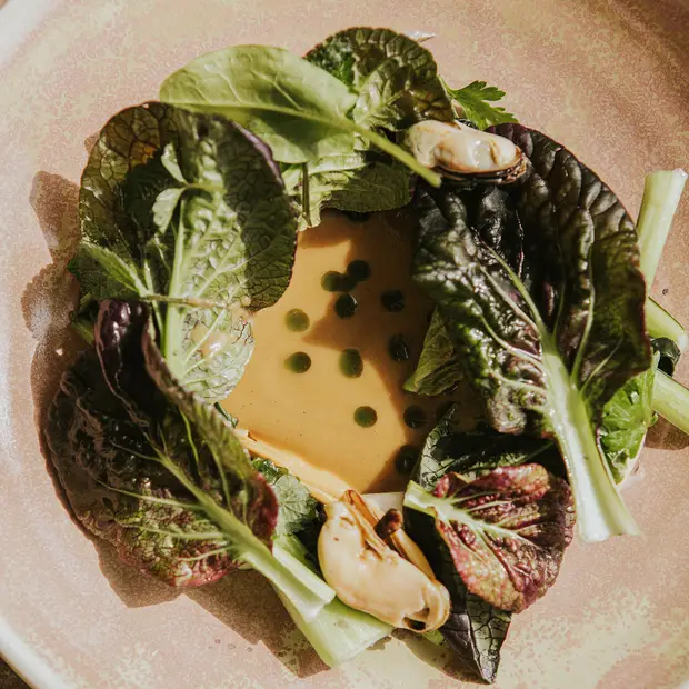 Bok choy et moules