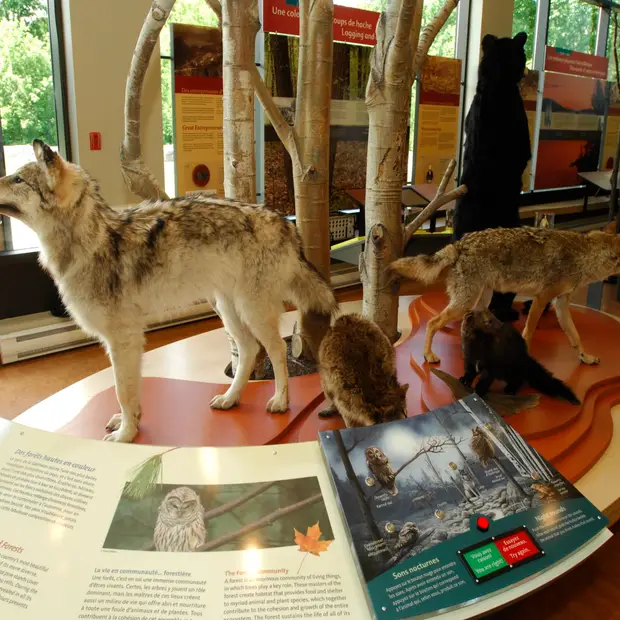 Gatineau Park Welcome Office
