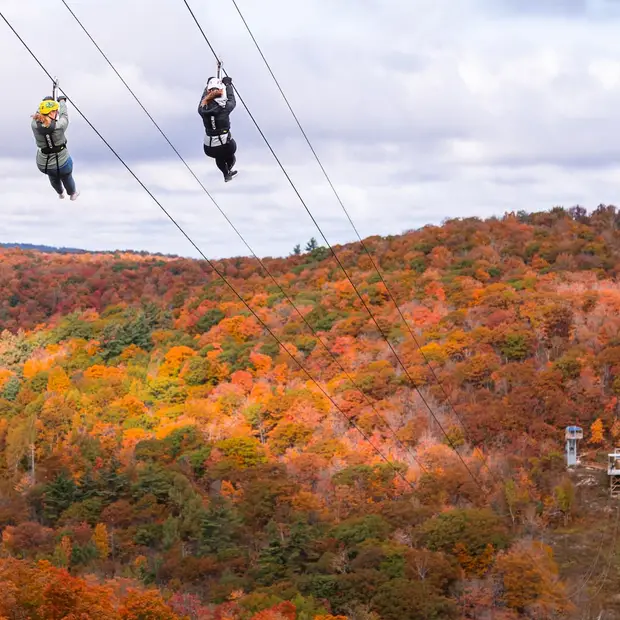 Fly down a zipline in the Outaouais
