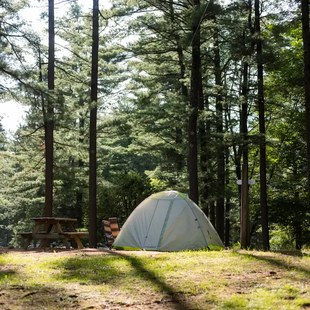 Camping