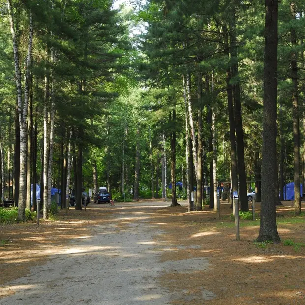 Camping