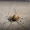 Step into the unexpected