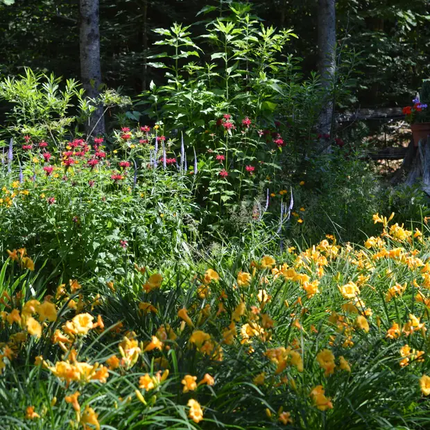 Aménagement paysager