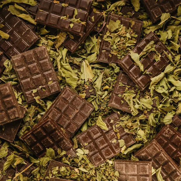 Chocolat affiné menthe