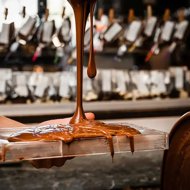 Chocolate makers and confectionery