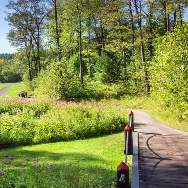 Château Montebello golf course