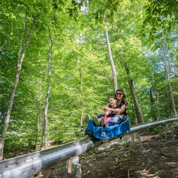 Tobogganing in the mountains