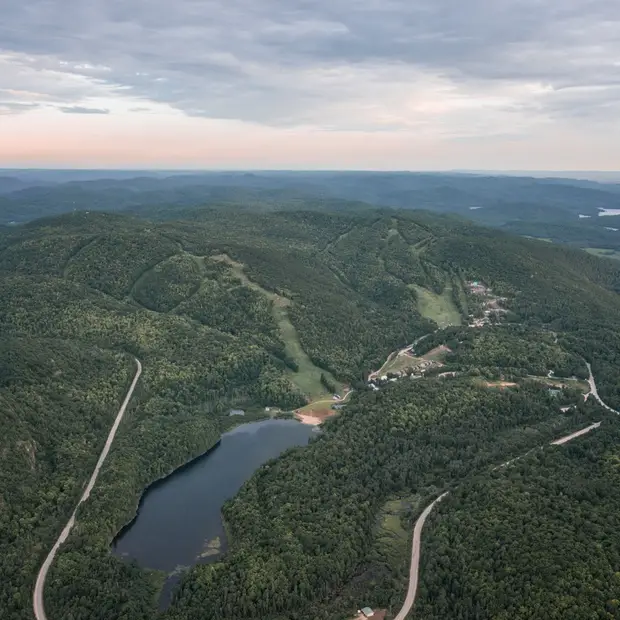 All the Beauty