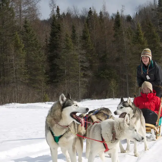 Traîneau à chiens, Outaouais