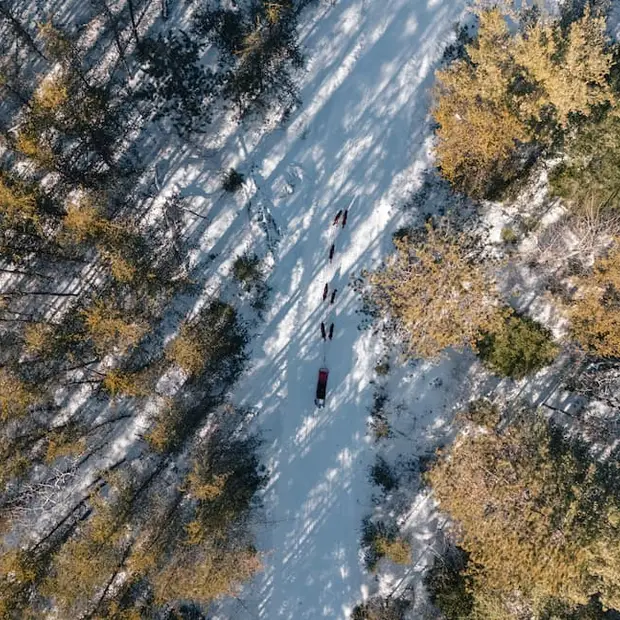 Where to Go Dog Sledding in the Outaouais