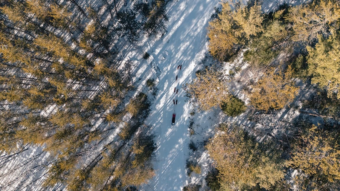 Blog Where to Go Dog Sledding in the Outaouais