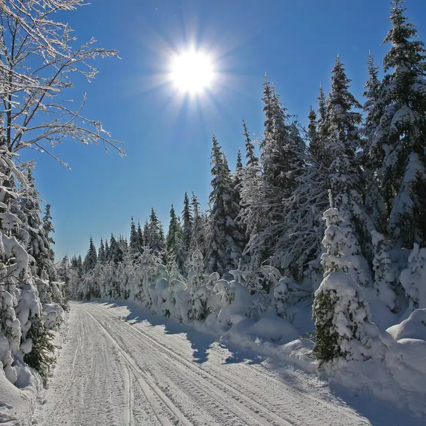 federation-des-clubs-de-motoneigistes-du-quebec-fcmq-massif-du-sud