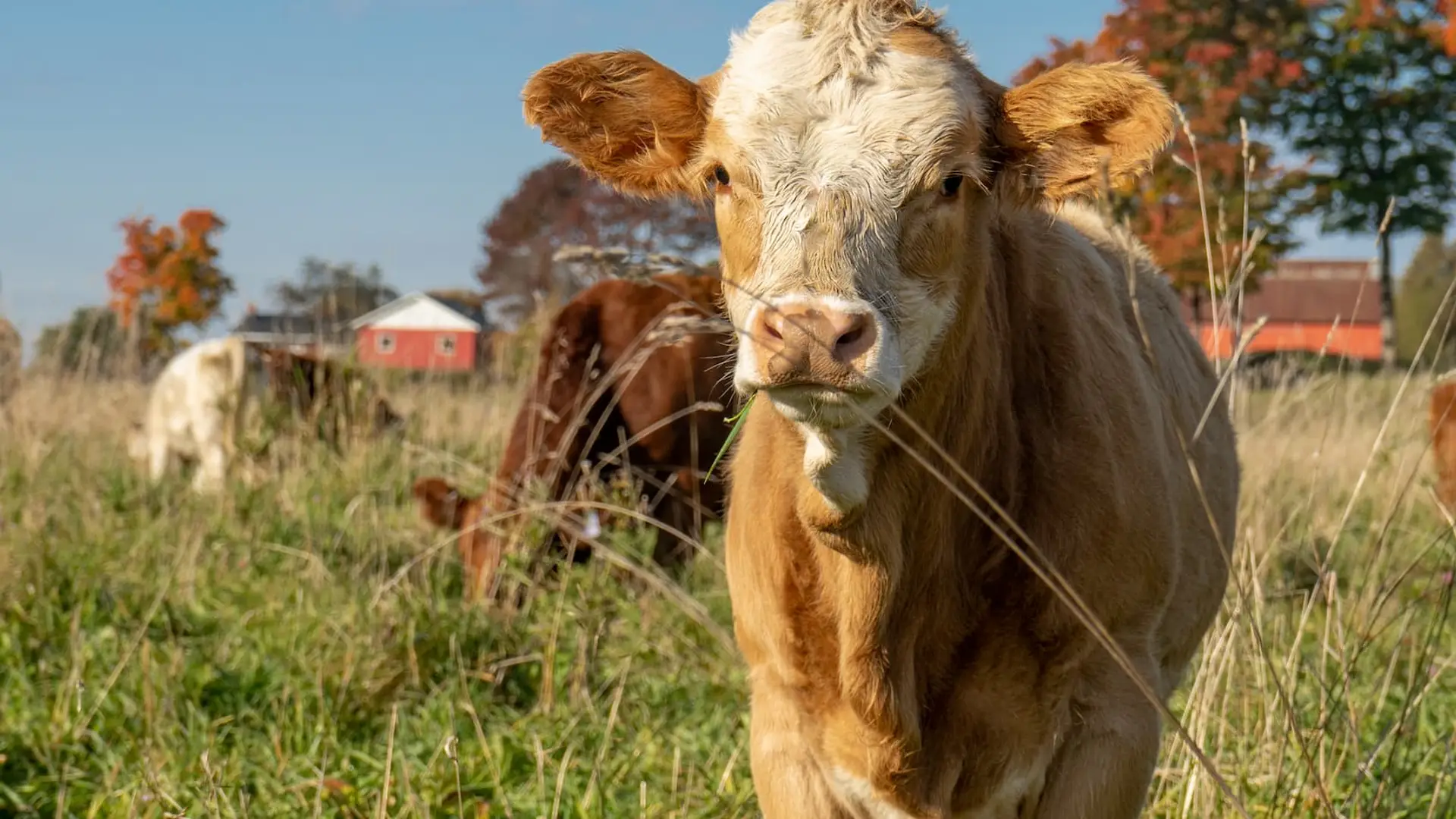 Blog Une place de choix pour l’agrotourisme en Outaouais