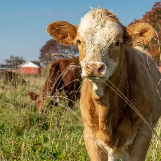 Agrotourism: A prominent feature of the Outaouais