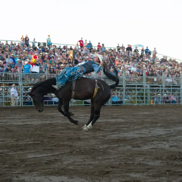 Festival Western de Saint André Avellin - LD (3)