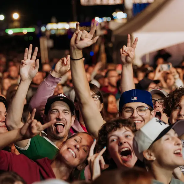 Festivaliers dans la foule