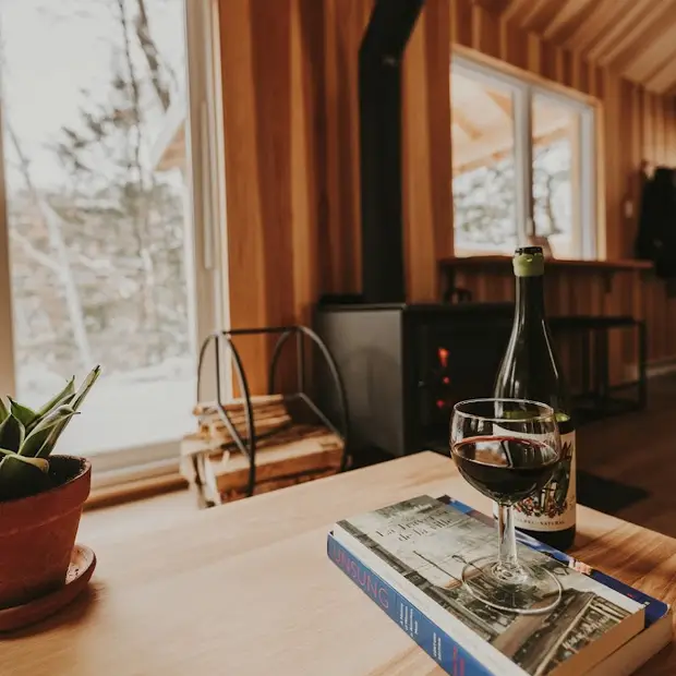 foyer intérieur avec vin + livre (1)