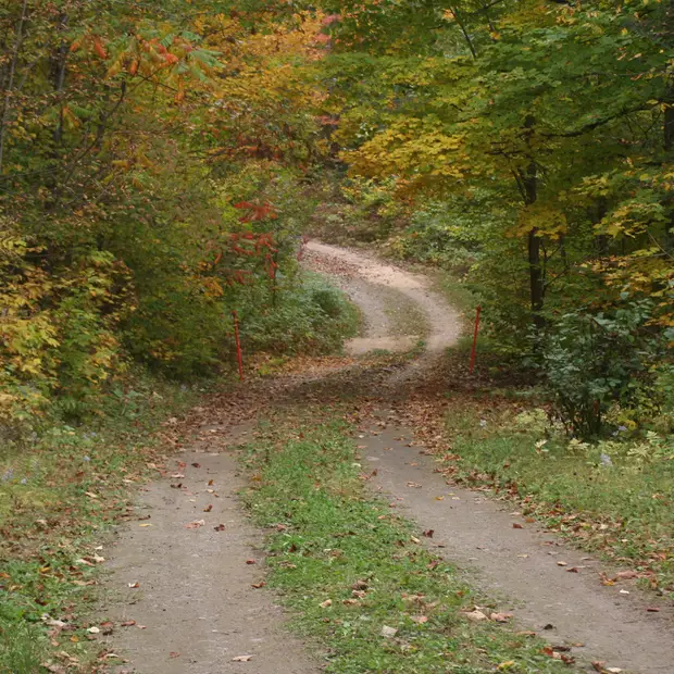 Access to the chalet