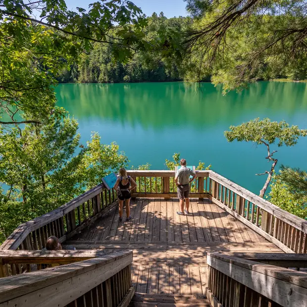 Lac Pink