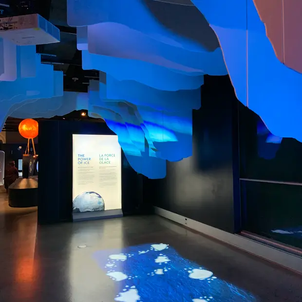 LD @Ã_lodie Beauvais - MusÃ©e canadien de la nature