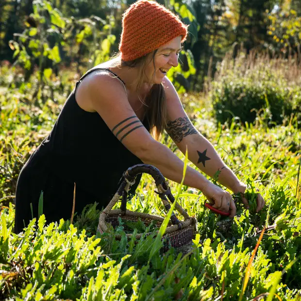 LD @Adrien Loiselle - La fée des bois (3)