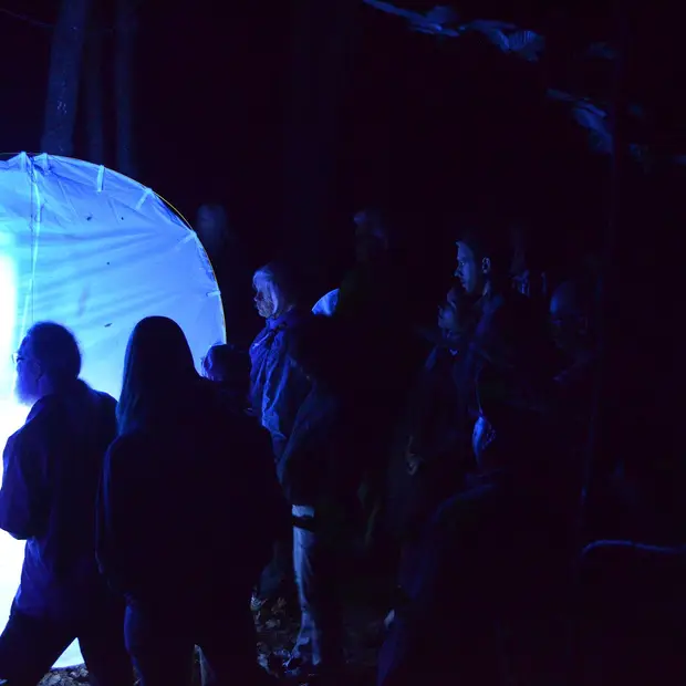 Creatures of the night