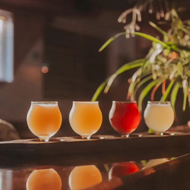 Drink Local: the best beers in the Outaouais