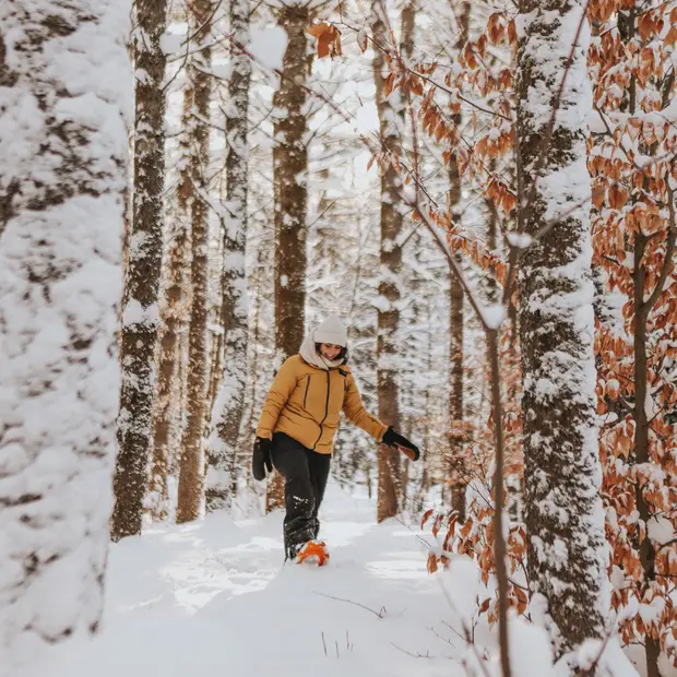 Quoi faire en Outaouais en mars