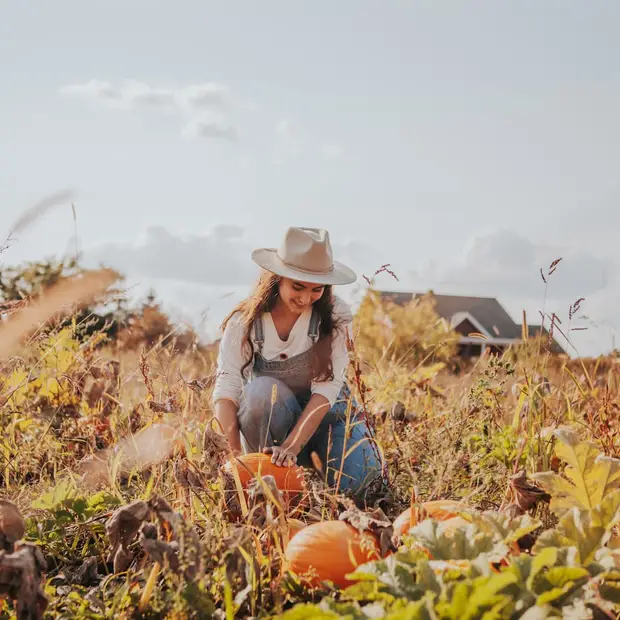 What’s on in the Outaouais in October