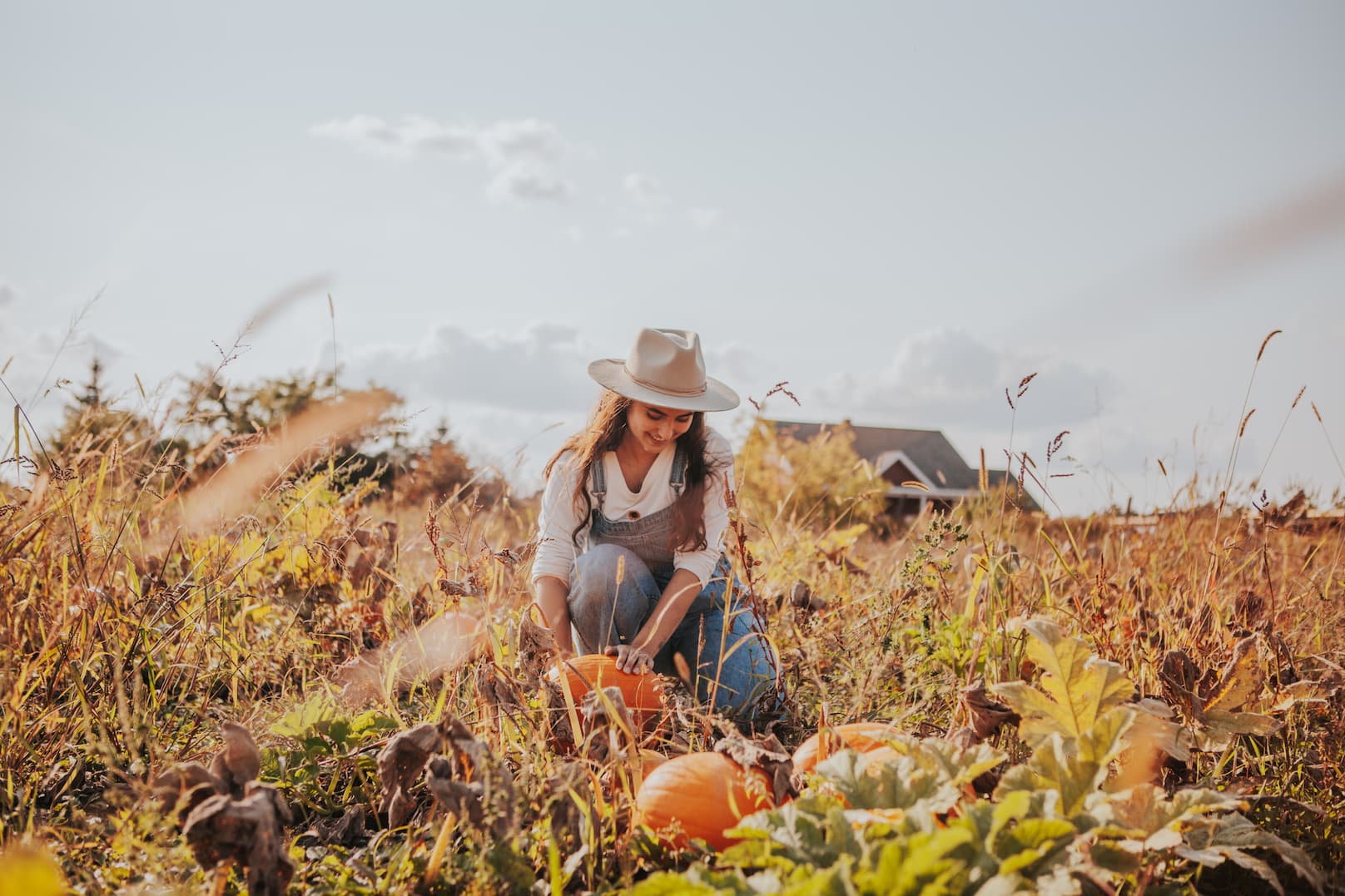 Blog What’s on in the Outaouais in October