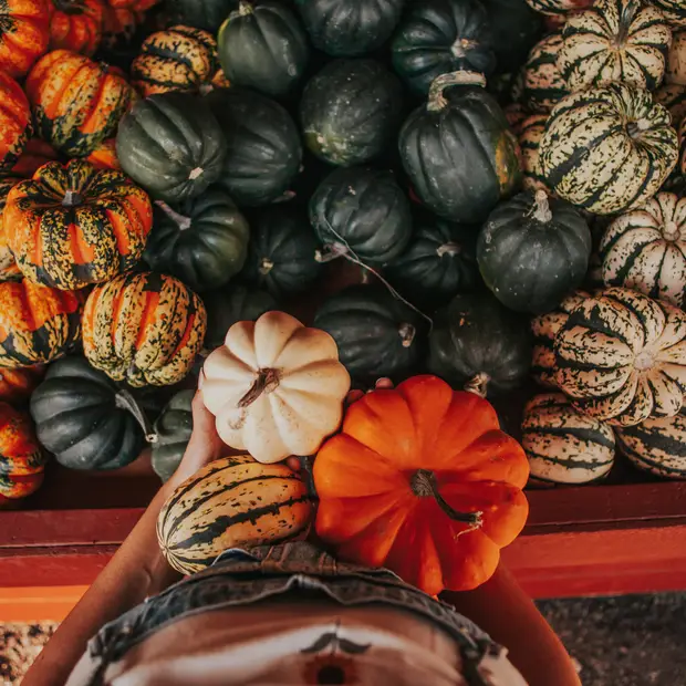 LD @Camille Labonté - Courges & Cie (6)