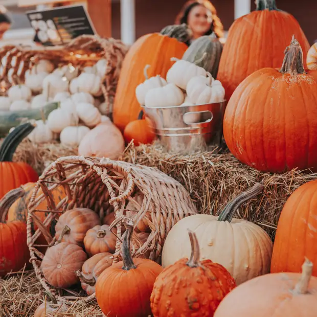 Quoi faire en Outaouais en octobre