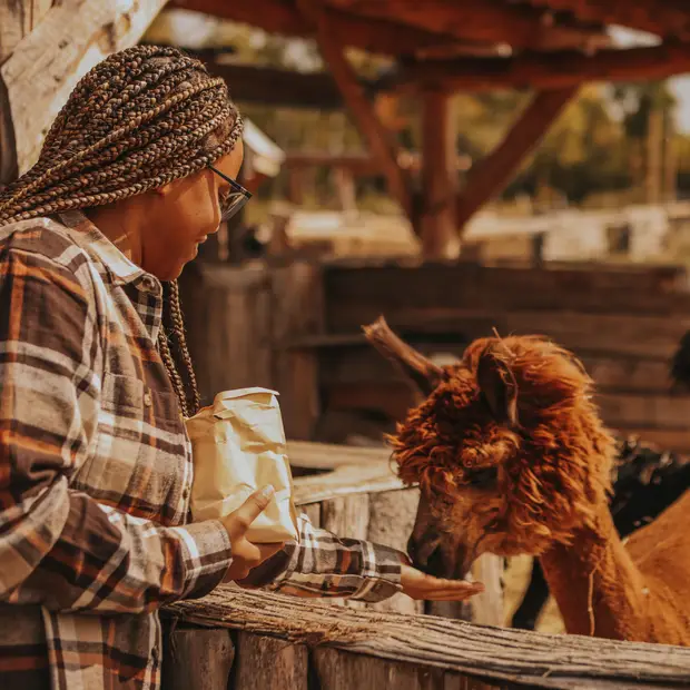 À la rencontre des animaux