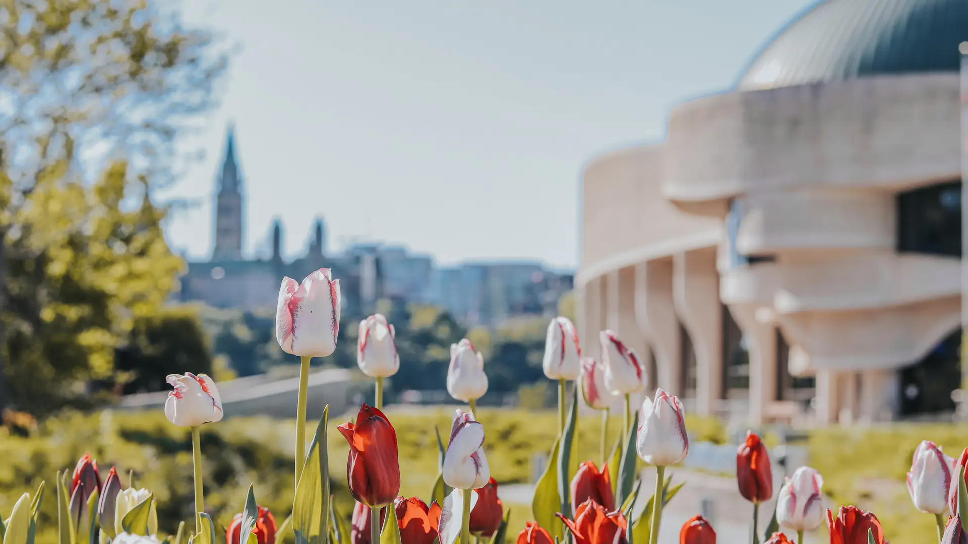 Blog Things to do in the Outaouais in May