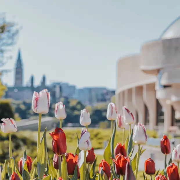 Things to do in the Outaouais in May