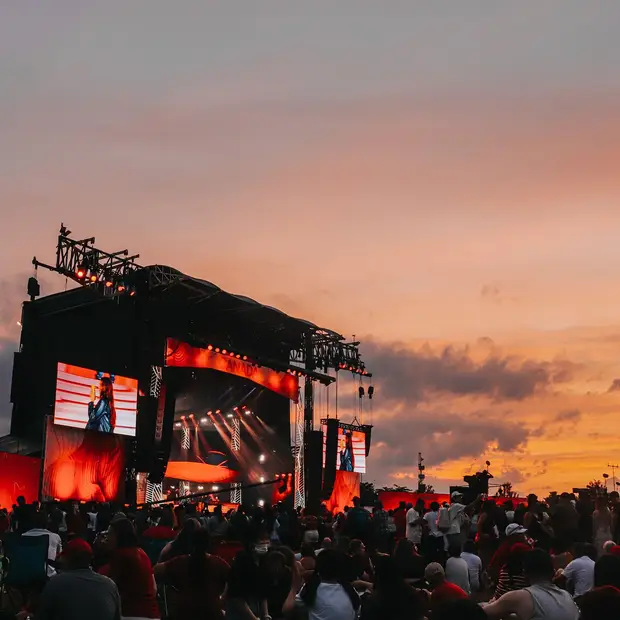 A multitude of activities