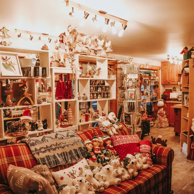 LD @ Camille Labonté - La Destination de Noël (1)