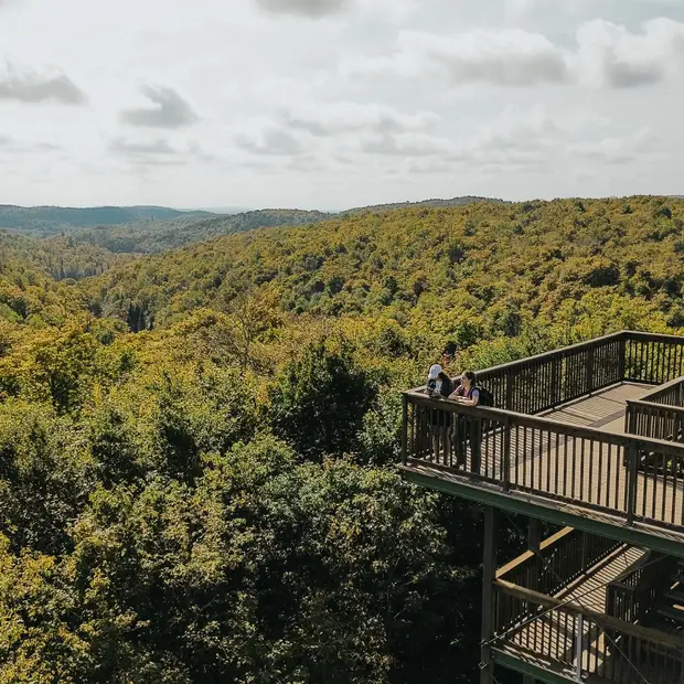 LD @Camille Labonté - Parc des Montagnes Noires (1)