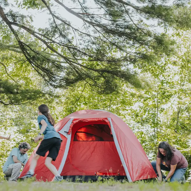 LD @Camille Labonté - Parc national de Plaisance (2)