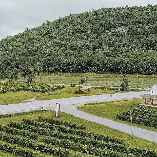 LD @Camille Labonté - Petite Nation agrotourisme (4)