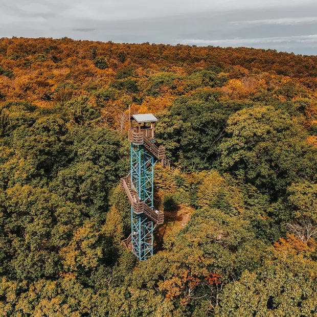 Déconnexion numérique en Outaouais