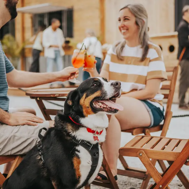 LD @Camille Labonté - Terrasse du Square (1)