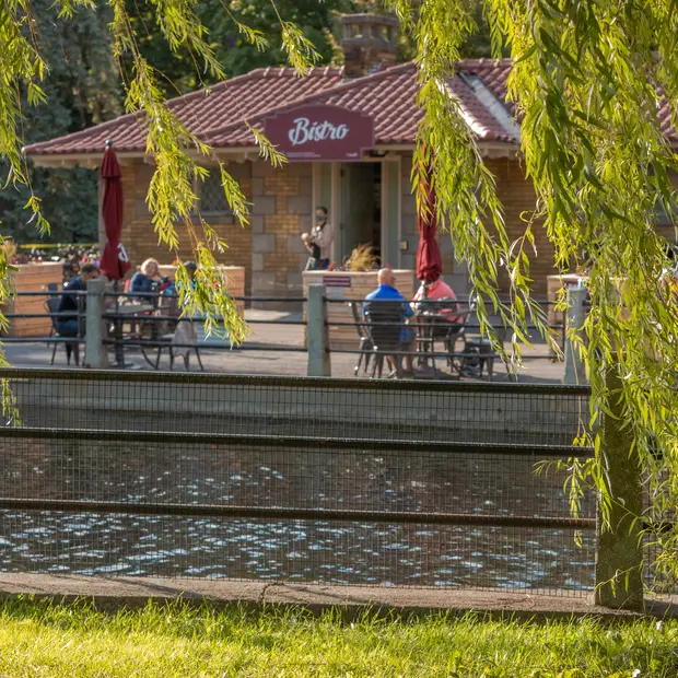 LD@CCN-NCC - Les bistros CCN (11)